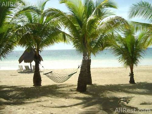 Bohol Beach Club 8